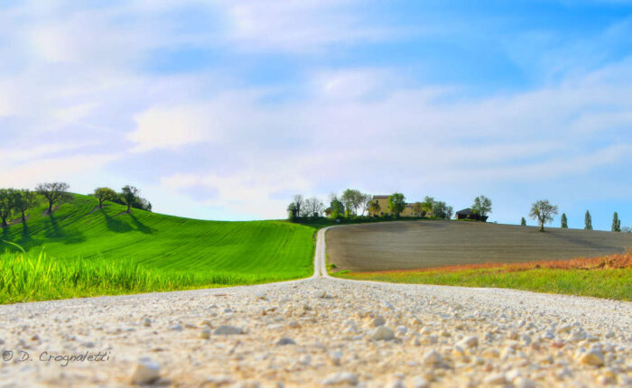 Sapori e Biodiversità con un viaggio organizzato nelle Marche