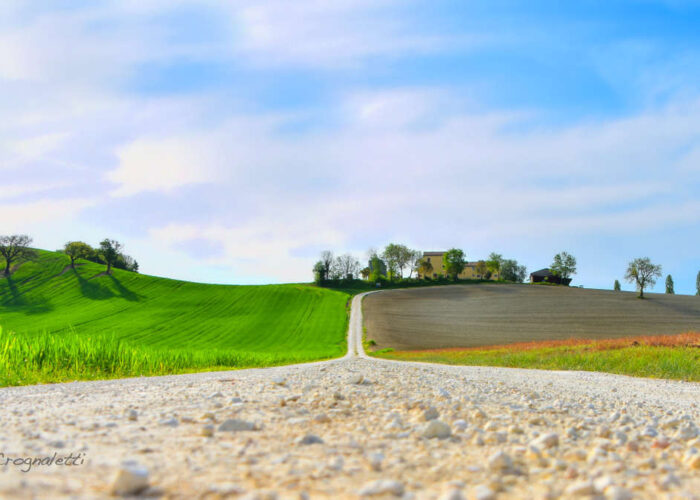 Sapori e Biodiversità con un viaggio organizzato nelle Marche