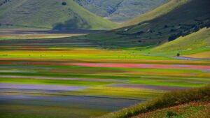 gita organizzata in pullman per la fioritura delle lenticchie a castelluccio