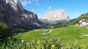 Viaggio organizzato Settimana Verde a campitello di fassa