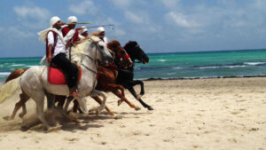 tunisia viaggio organizzato in aereo gran tour