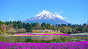 monte fuji viaggio organizzato i tesori del giappone