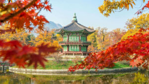 viaggio organizzato in corea del sud in aereo in estate